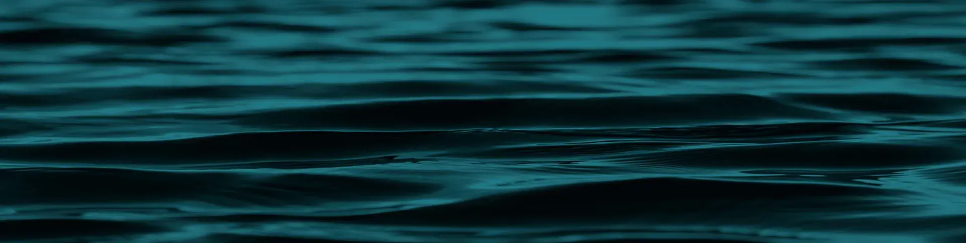 parallax image